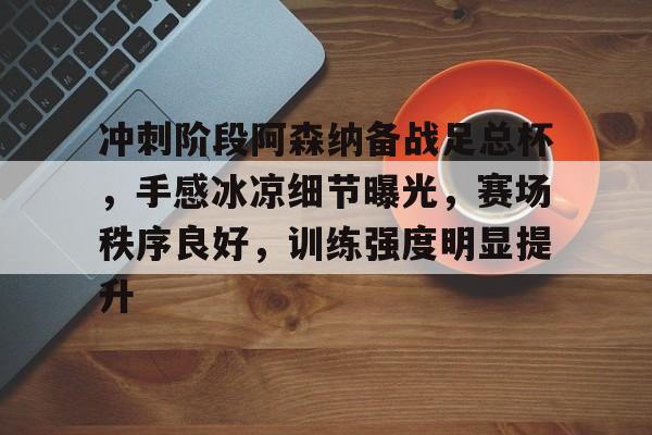 冲刺阶段阿森纳备战足总杯，手感冰凉细节曝光，赛场秩序良好，训练强度明显提升的简单介绍-AYX爱游戏中国